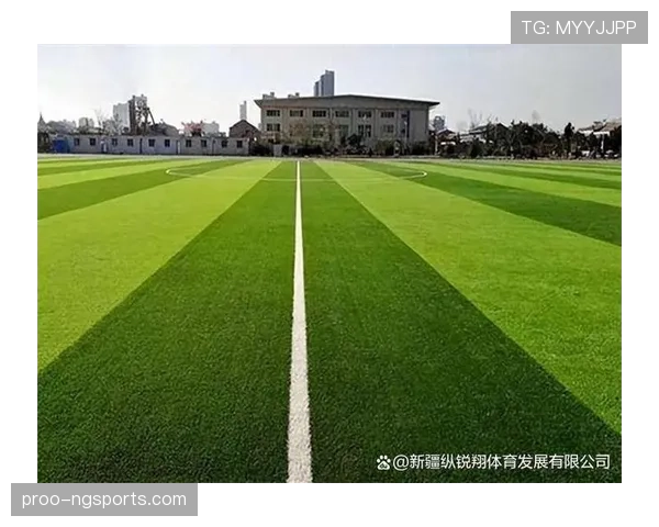 草坪场地规则拆解：职业比赛必须满足哪些标准？